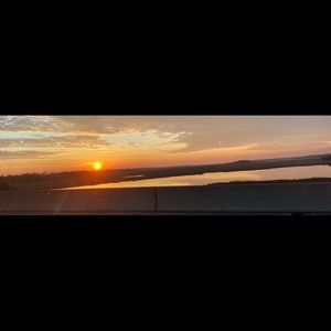 Meet your Posher, Lynne